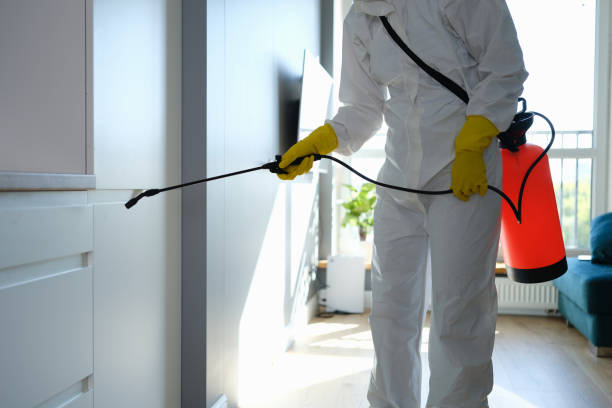 Professional Mold Removal in Sisters, OR
