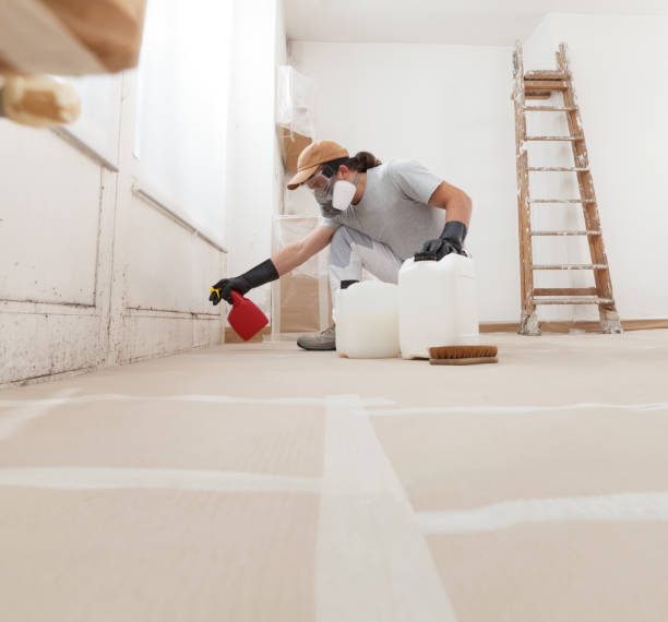 Best Crawl Space Mold Remediation  in Sisters, OR