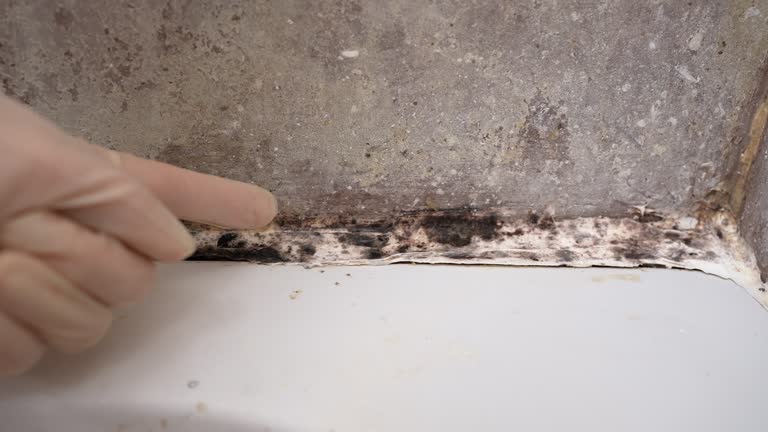 Mold Remediation for Rental Properties in Sisters, OR